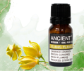 Ylang Ylang Esenciálny Olej