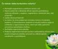 Bunková soľ  Zinok  - ZINCUM - Biomineral D6 