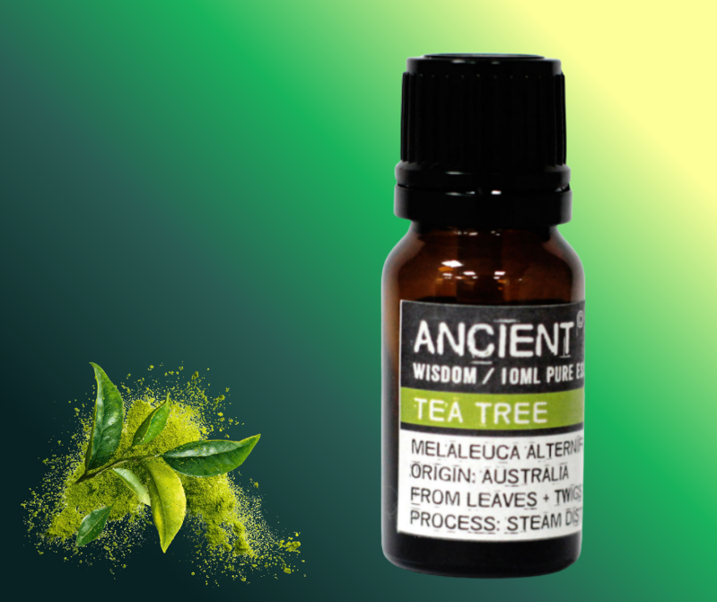 Čajovník Esenciálny Olej (Tea Tree)